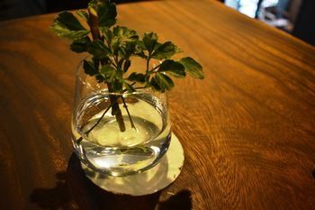 Monsoon Bassac Hotel Phnom Penh